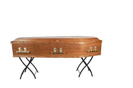 Coffin With Brass Effect (Coffin Only)
